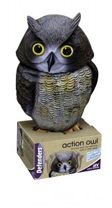 STV ACTION OWL